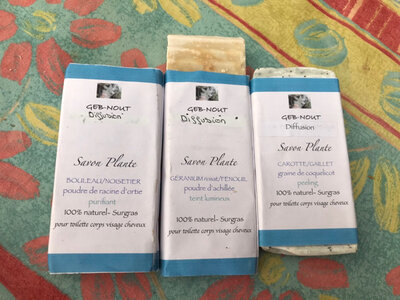 Savon plantes