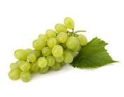 Jus de raisin blanc