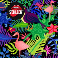 Sorbet artisanal exotique s'chleck