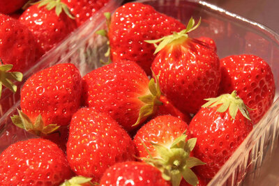 Fraises mara des bois