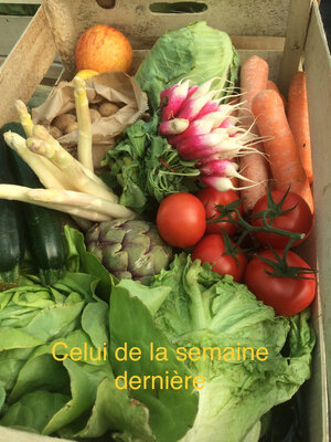 Panier de saison