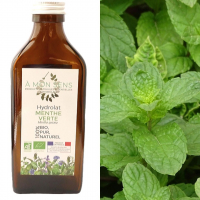 Hydrolat menthe verte