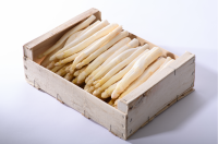 Asperge blanche courte épluché