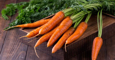 Carottes fanes