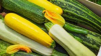 Courgette verte et jaune