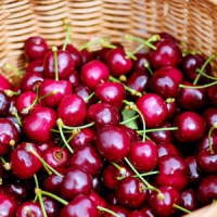 Sorbet cerise-griottes