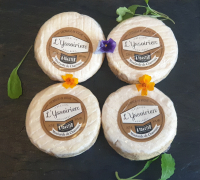 L'yssoirien à toaster moutarde de charroux