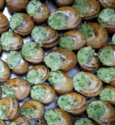 4dzs d'escargots à la bourguignonne