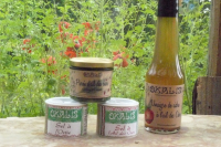 Vinaigre de cidre ail des ours