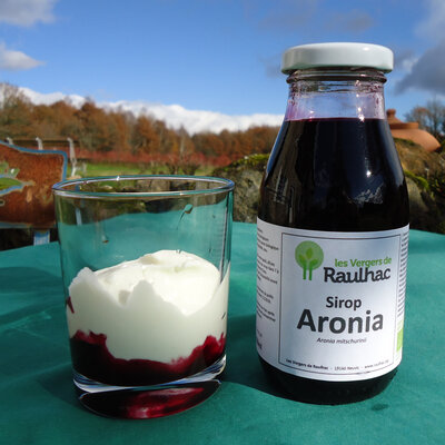 Sirop d'aronia biologique 500ml