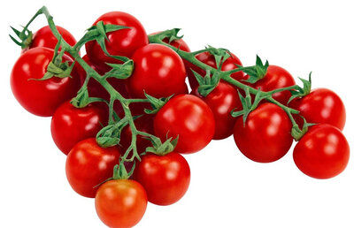Tomate cerise barquette 6 plants