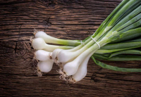 Oignon blanc bio frais en botte