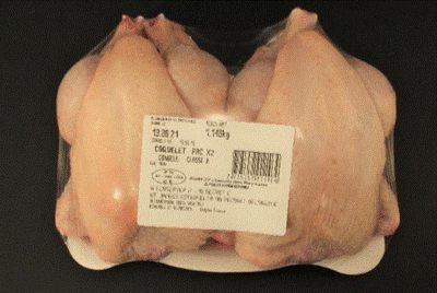 2 coquelets congelés