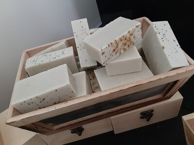 Savon lait de chevre eucalyptus