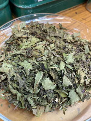 Menthe des touaregs