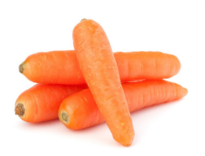Carottes