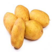 Pomme de terre agata