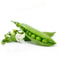 Petits pois à écosser