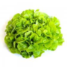 Salade batavia