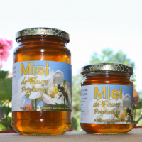 Miel de printemps