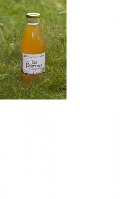 Jus de pommes gingembre