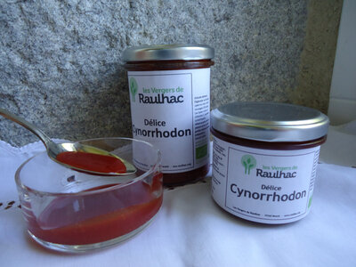 Delice cynorhodon biologique 240g
