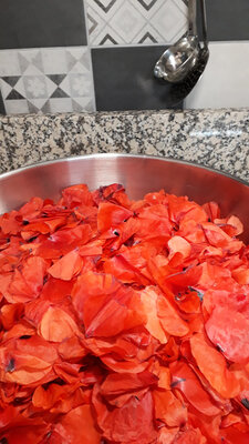 Coulis de coquelicot