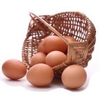 Oeufs plein air x6