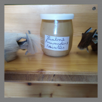 Crème dessert praliné noisettes/amandes