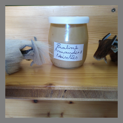 Crème dessert praliné noisettes/amandes