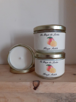 Bougie 160gr douceur exotique