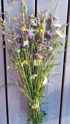 Bouquet de fleurs sauvages