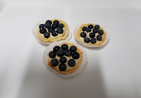 Tartelette  myrtille  4+1