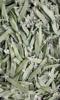 Pois mangetout