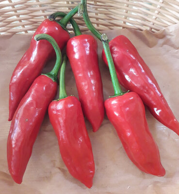 Piments forts
