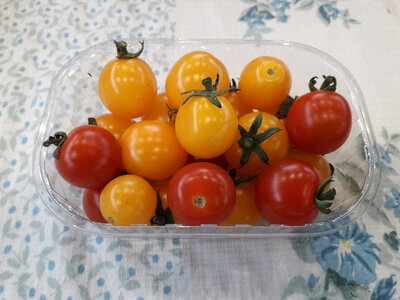Tomates apéro