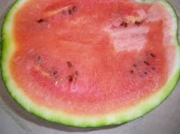 Pastèque