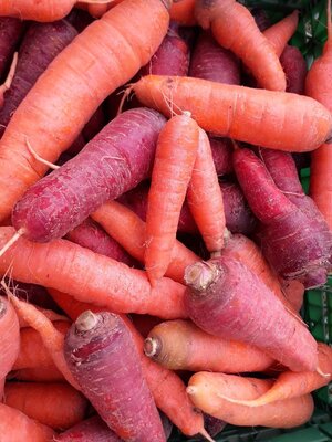 Carottes