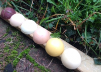 Collection de 6 savons