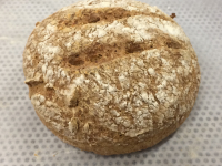 Lot découvert 3 pains bio sgluten