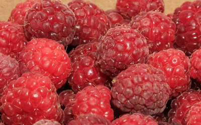 Sorbet artisanal de framboise