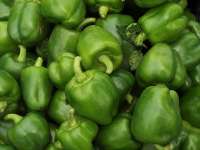 Poivron vert doux
