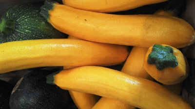 Courgette jaune