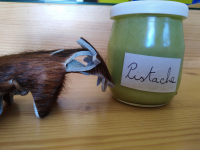 Crème dessert pistache