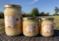 Miel de fleurs de printemps