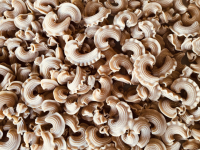 Crête de coq petit épeautre vrac