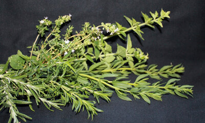 Bouquet d'aromates fraiches