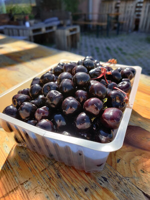 Cerises