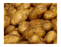 Pommes de terre spunta