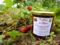 Confitures de fraise/menthe